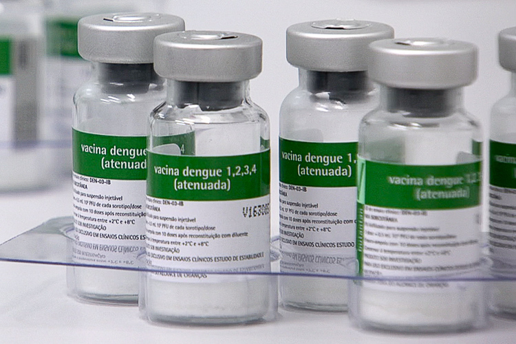 Vacinação contra dengue vai priorizar faixa etária de 6 a 16 anos